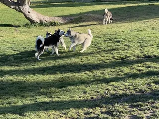 Discovery Bay Dog Park