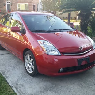 Ginger,  all bright and shiny.