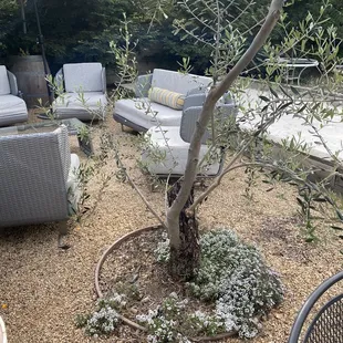 Lovely outdoor seating