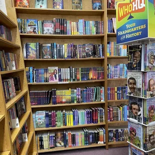 Bookshelves in interior