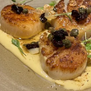 Scallops,