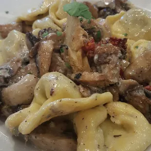 Mushroom Tortellini