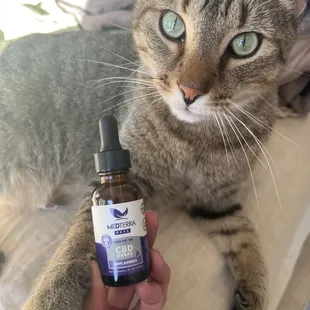 MEDTERRA PETS CBD DROPS