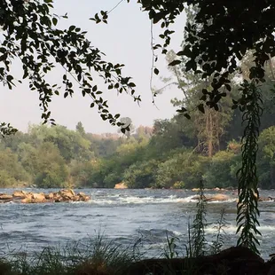 Gorgeous views of south fork from camp