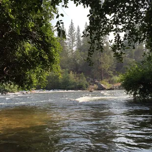 More camp views...stream moves swiftly