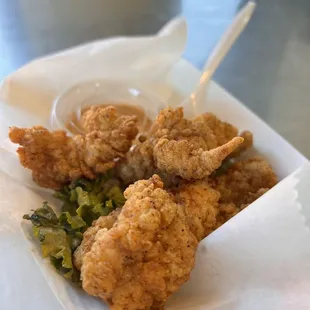 Gator bites