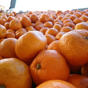 a pile of oranges