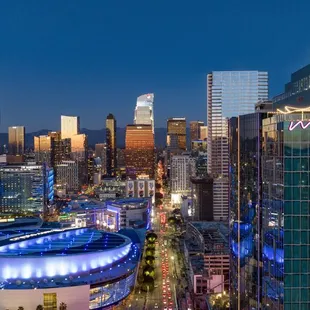 the city skyline at night