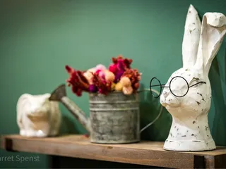 Flora & Fauna Provisions