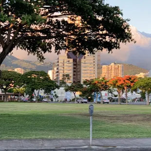 Nice open grassy area in this park but hardly any shady canopy trees.