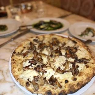 FUNGHI