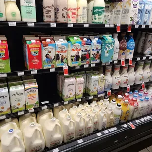 milk and milk products