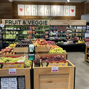 7/25/24 First time here