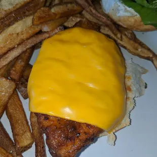 Best part of the meal was the fresh cut fries.