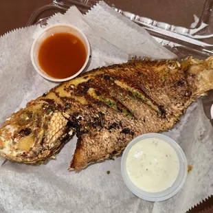 Red snapper