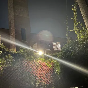 a fire hydrant in front of a brick building