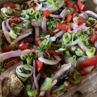 Pizza with red sauce and fresh green and white onions, red pepper, mushrooms.