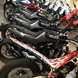 Always a huge inventory to choose from!