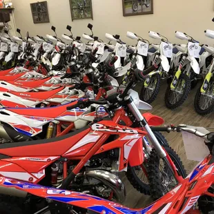 Awesome Showroom!!!!