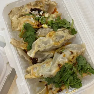 Pan Seared Chive & Shrimp Dumplings