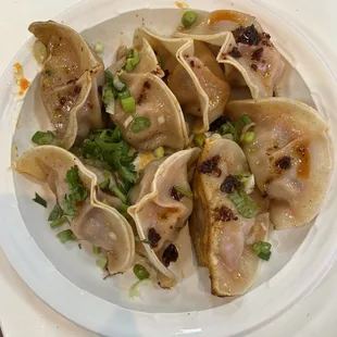 Kimchi Dumplings