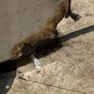 Bathroom Floor