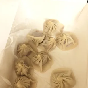 Soup dumplings. Need more soup