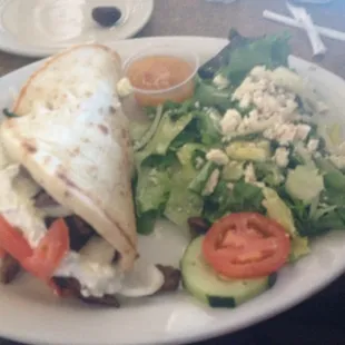 Gyro Plates