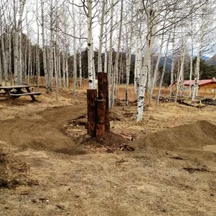 Entry to the 1st half of the Aspen Tree easy trail