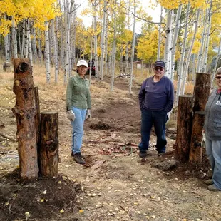 Just starting the entry posts