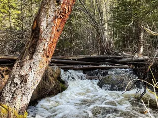 Rich Creek Trailhead