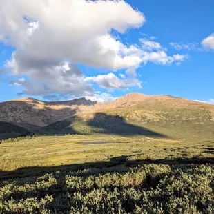 Instagram: @telephonesmoothie