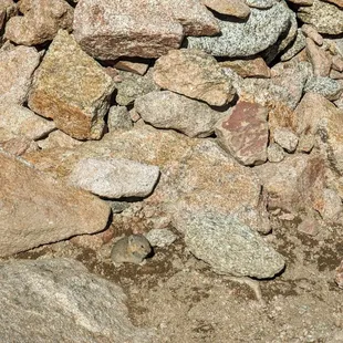 Instagram: @telephonesmoothie