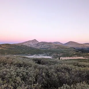 Instagram: @telephonesmoothie