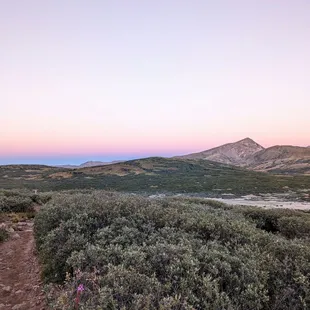 Instagram: @telephonesmoothie