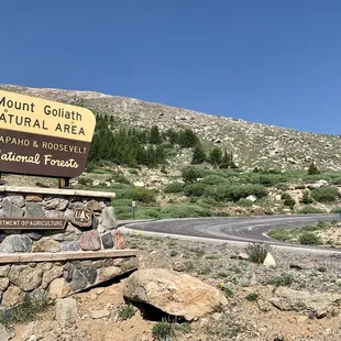 Mount Goliath Area - good for a quick restroom break.