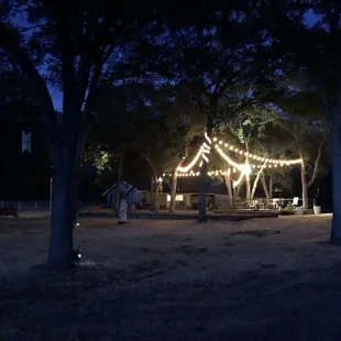 Vineyard and deck and night