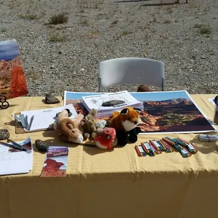 Protect Lava Butte,  Nevada's piece of the Grand Canyon.