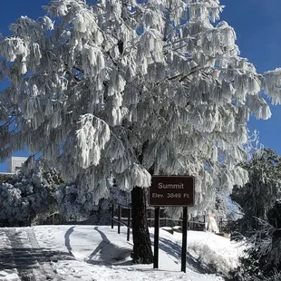 Walked to Summit on winter day. Approximately 2.5 miles from Juniper junction