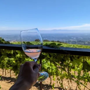 a hand holding a glass of wine
