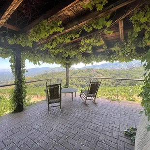 the view from the patio