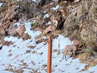 Waterton Canyon