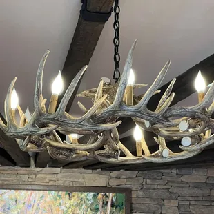Antler Chandelier