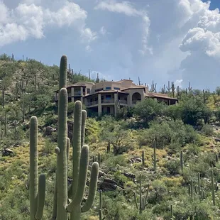 I'd love to live here!