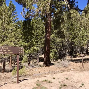 Start of the trails from the Mt. Pinos Nordic Base, late April 2022.