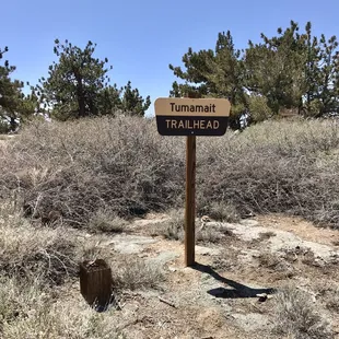 Tumamait trail summit, late April 2022.