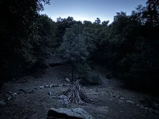 Enchanted Forest Trailhead