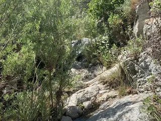 Castaic Falls Trail
