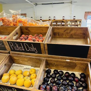 Peaches picked daily, Asian pear and plums