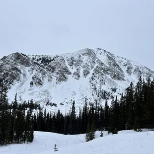 Winter wonderland.